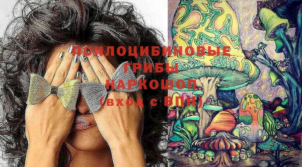 мяу мяу мука Абаза