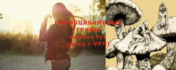 круглые Арсеньев