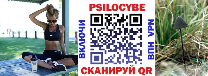 kraken ссылки  Оса  Галлюциногенные грибы Cubensis 